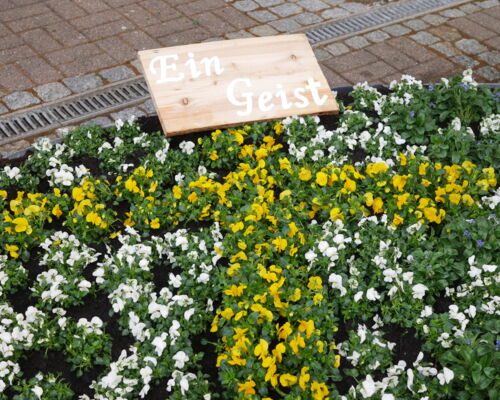 Detailansicht des Blumenbeetes, es zeigt ein gelbes Kreuz auf weißem Grund, gepflanzt aus Hornveilchen. Eine Holztafel trägt in weißen Buchstaben die Aufschrift: Ein Geist.