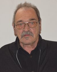 Volker Wemmel
